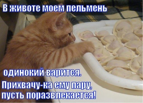 ~**~ - 23  2018  17:09