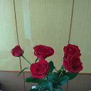 ���� ����, ������� - ��������� 22 ����� 2019 � ������ ������ ��������