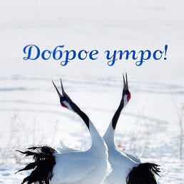 Anna, ������