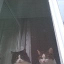  Marina, , 45  -  1  2018