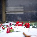 ���� ������, �������������-���������� - ��������� 27 ������ 2019 � ������ ������� *����� �����*�