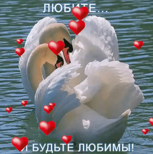 Всем нам надо кого-то любить.И любимыми быть тоже надоИ любовь свою надо дарить И любовь принимать ...