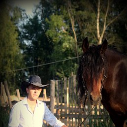 ����, ���������