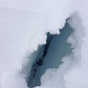 ���� ����, ���������, 43 ���� - ��������� 5 ������ 2019 � ������ ���� ����������