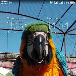 ���, ������, 33 ����