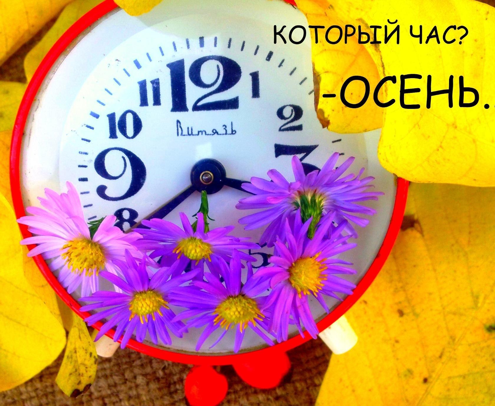  - 1  2018  08:40