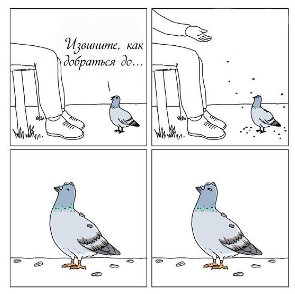 Девочка гладит голубя мем Я выпал))