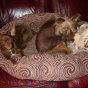 ���� �������, ������� - ��������� 11 ������� 2018 � ������ ������ ��������