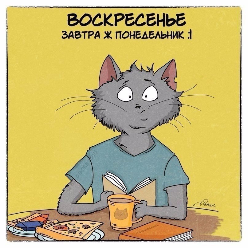     .: Bird Born#@ican - 7