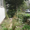 ���� ���������, �������� - ��������� 28 �������� 2018 � ������ ���������-2018�