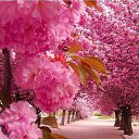  ,  -  17  2018      .