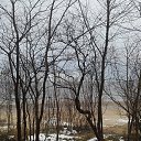 ���� A���� Sowan ( ������), ��������, 56 ��� - ��������� 8 ������ 2019 � ������ ���� ����-������, ��� ����-�-������.�