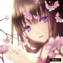 ���� ������, ����������� - ��������� 1 ������ 2018 � ������ ���� ����������