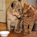 ���� ������, �����, 61 ��� - ��������� 17 ����� 2019 � ������ �� ����� ��� ������� �����!�