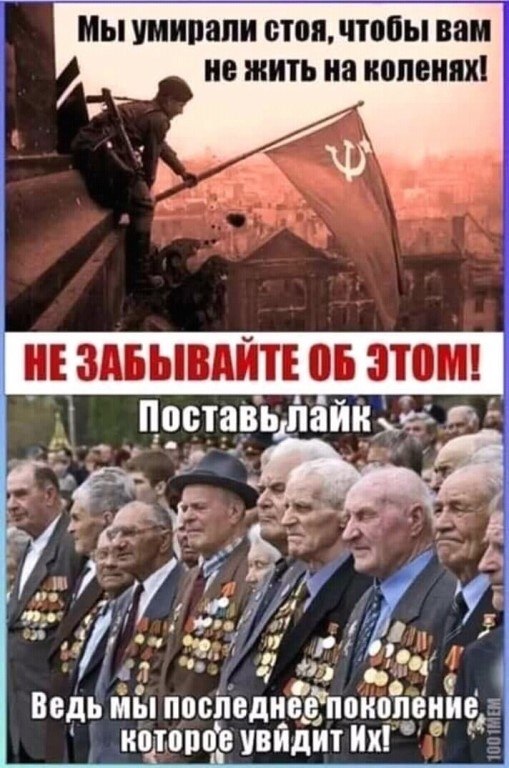   - 29  2019  03:51