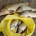  Tyulenev, , 54  -  10  2018