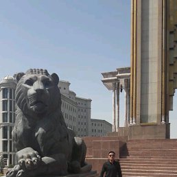 ���� �����, �����-���������, 39 ��� - ��������� 27 ������� 2019