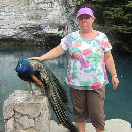 �������, ������, 58 ���