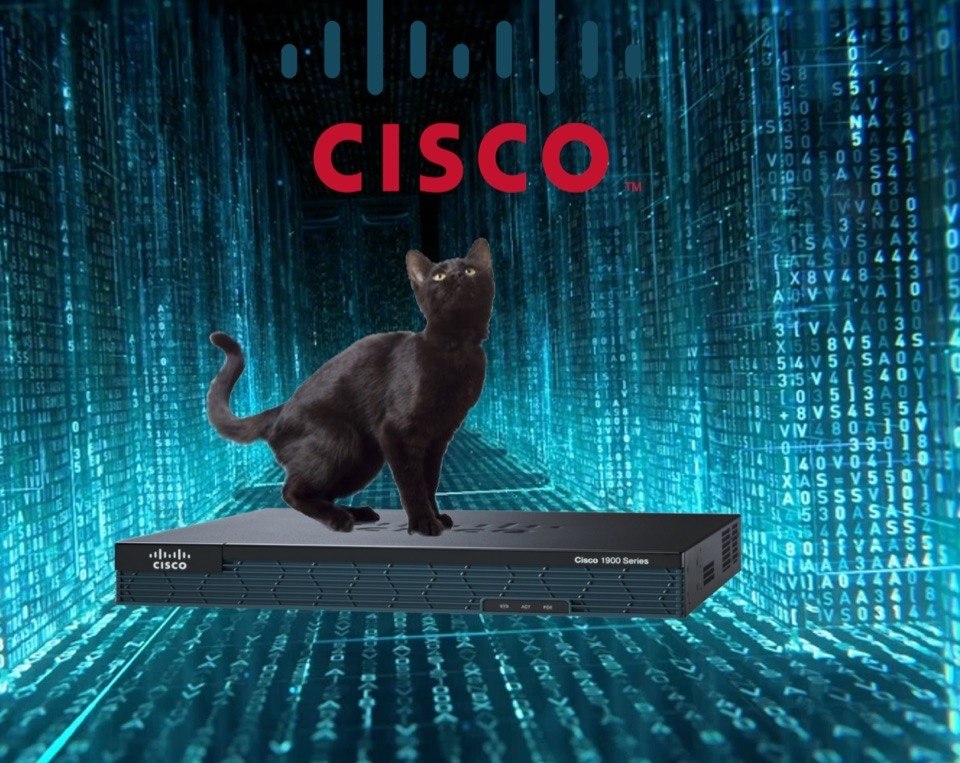     Cisco