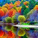 ���� �������, ������, 49 ��� - ��������� 10 ������� 2018 � ������ �������