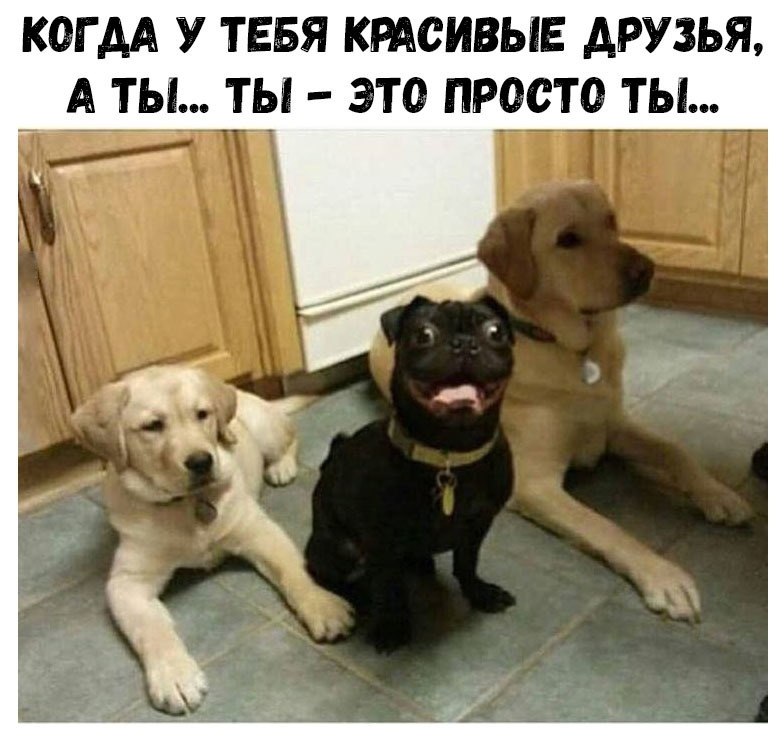    :D - 17  2018  17:13