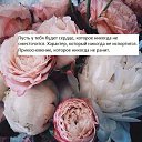 ���� ������, ������������ - ��������� 27 ����� 2019 � ������ ��������