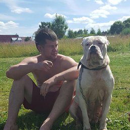 �����, ������, 38 ���