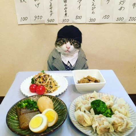 ,    ,      .     -     ... - 9