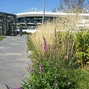 ���� �����, ������, 44 ���� - ��������� 23 �������� 2018 � ������ ������� �����