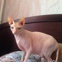 ��� �������)) �� ������� ������ ��������