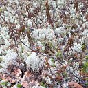 ����� 2018�. �� ������� ������