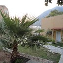  , -, 65  -  13  2018    