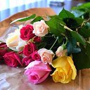 ���� �����, ��������, 54 ���� - ��������� 9 ����� 2019 � ������ ������ ��������