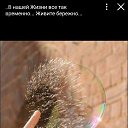 ���� ☆���☆, ����� - ��������� 19 ������� 2018 � ������ ������ ��������