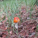  , , 61  -  22  2018    2018