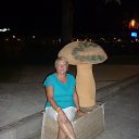 � ������ �� ������� ���� ����������