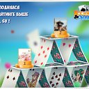 ���� ������, ������ - ��������� 15 ������� 2018 � ������ �������� �������-�������