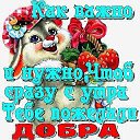 ���� �������, ��������� - ��������� 3 ������ 2019 � ������ ���� ����������