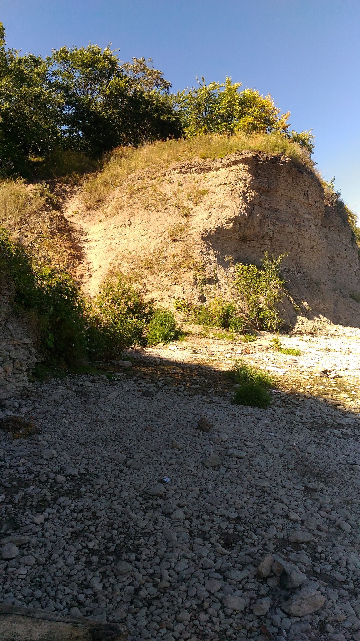  - 23  2018  16:51 - 6