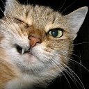 ���� ������, ����, 59 ��� - ��������� 19 �������� 2018 � ������ ���� ����������