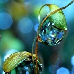 ���� ����, ������� - ��������� 29 ������� 2018