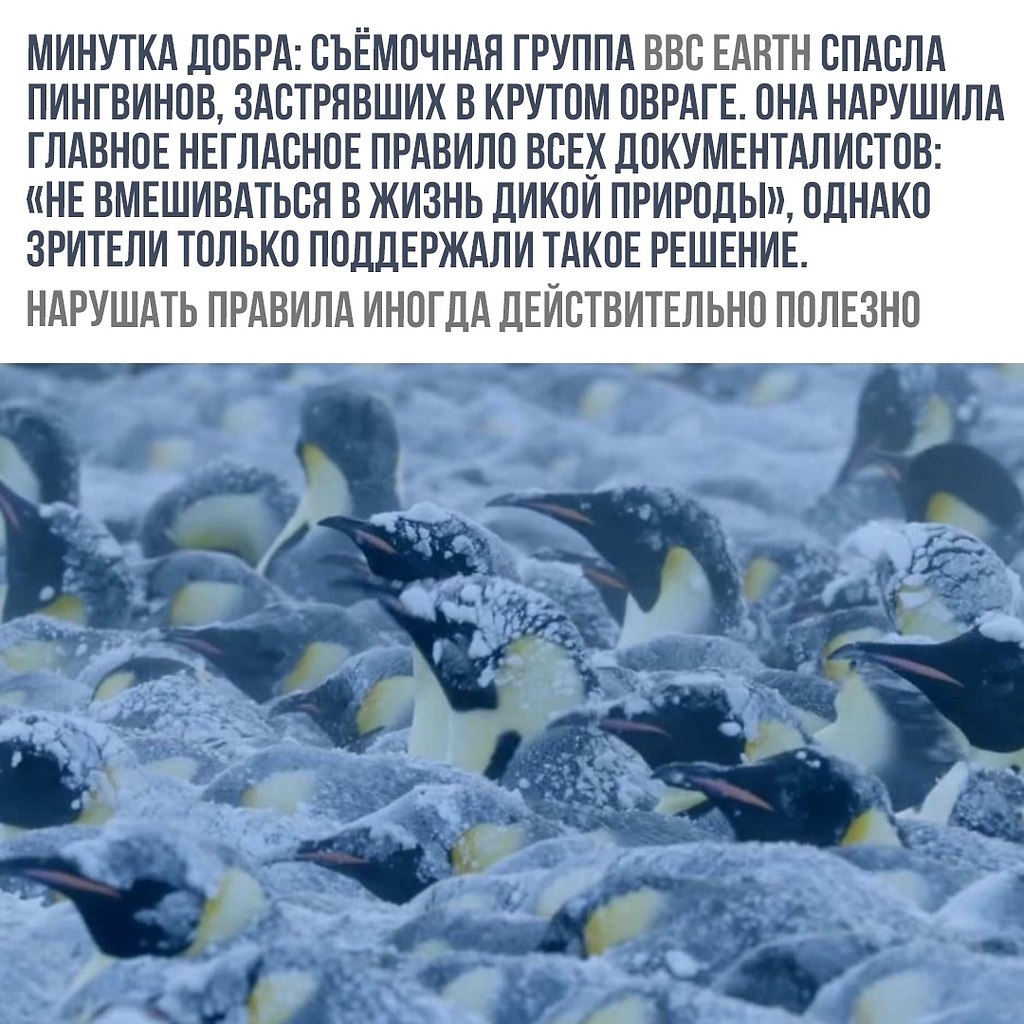    - 21  2018  16:51