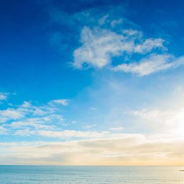 Gala, ������