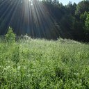 ���� �����, ��������, 55 ��� - ��������� 8 �������� 2018 � ������ ���� ����������