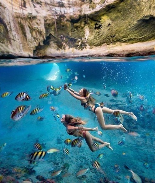 Meca c cao co oo. - 4