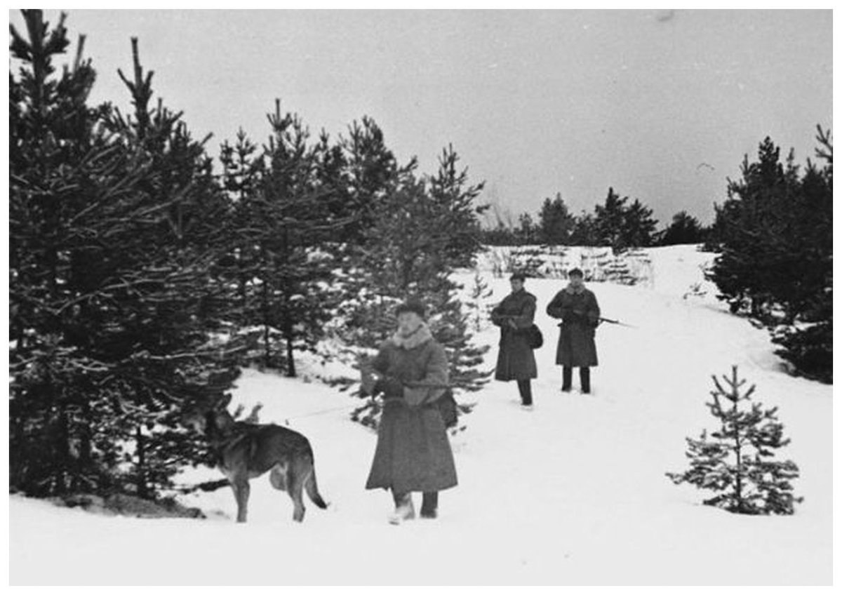 Новый год 1939. Финляндия в 1939 году. Пограничники в советско-финской войне 1939-1940. Финские войска в зимней войне 1939 г.