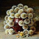 ���� Rosa, ��� - ��������� 13 ������� 2018 � ������ �****�