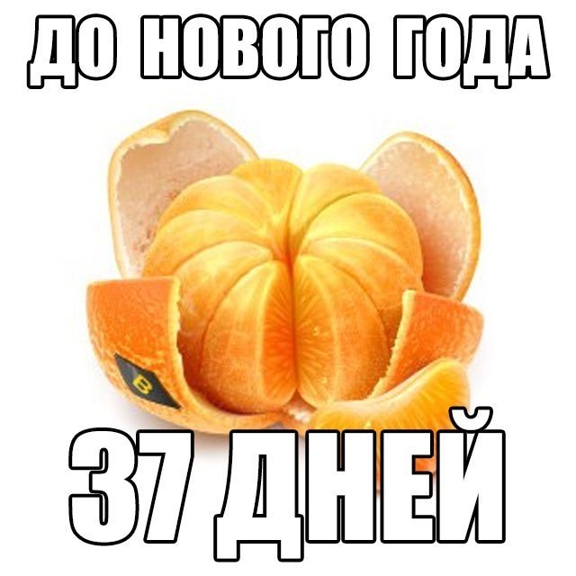   - 24  2018  16:56