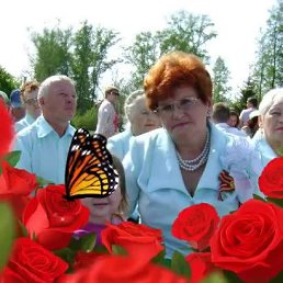 ����, ������ ��������, 74 ����