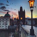 ���� ����, ��������, 37 ��� - ��������� 12 ����� 2019 � ������ ������ ��������